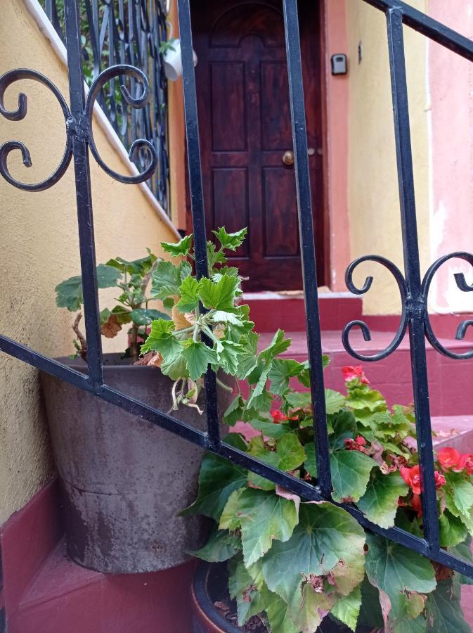 Cozy Apartment Alexandros Near Aqueduct كافالا المظهر الخارجي الصورة